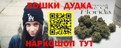 гидропоника Партизанск