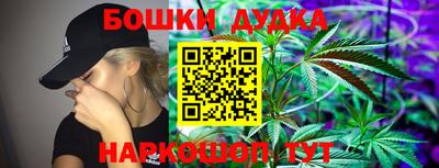 индика Пенза