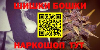 индика Пенза
