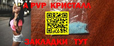 индика Пенза