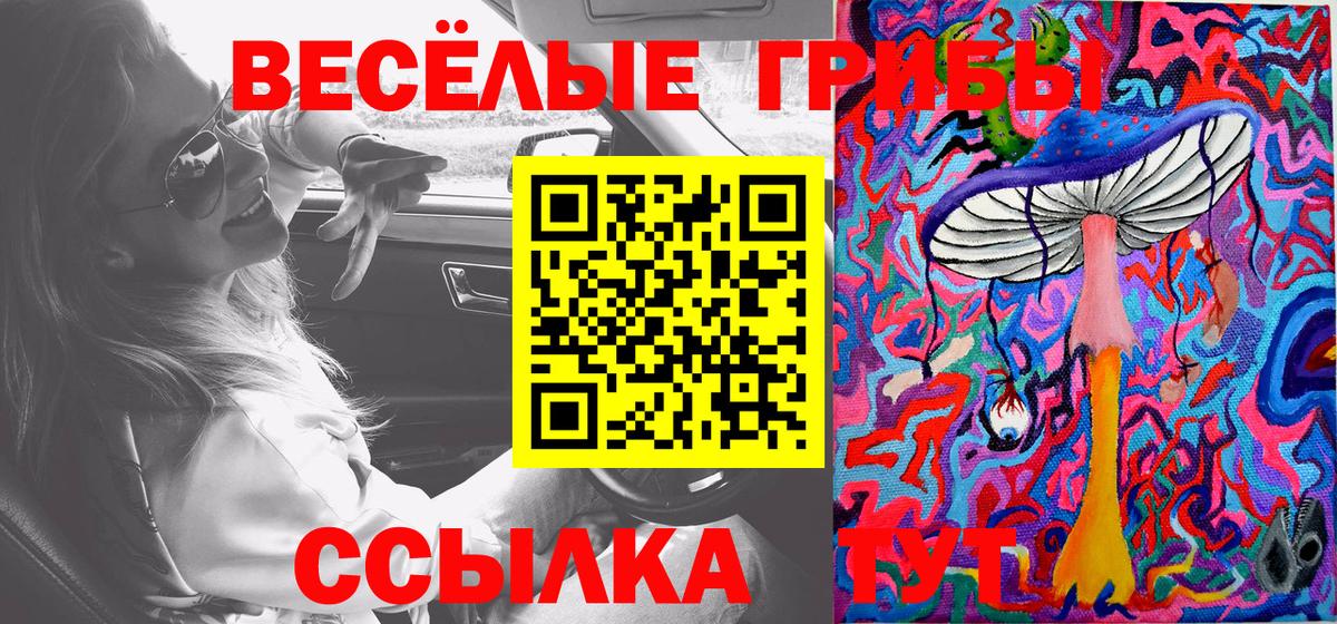 Галлюциногенные грибы Cubensis Сергиев Посад